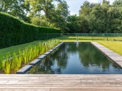 Geels Vijvertje Eindeloze plantenzone