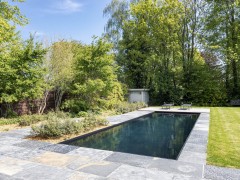 Dhaenens Pools & Gardens  Slank, rechthoekig monoblokzwembad