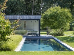 Tuinen Paul Nijst Meesterlijk skimmerzwembad met hoogwaterlijn