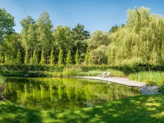 Cools Tuinaanleg bvba Natuurlijk watereffect