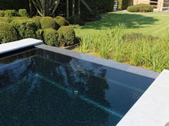 Leisure Pools Belgium Natuurlijk chemicaliën-vrij gefilterd zwembad met vijver-look