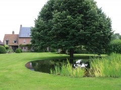 Cools Tuinaanleg bvba Unieke zwemsloot