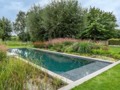 Geoblauw Kleurrijke zwemvijver