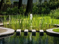 't Groene Plan Gezelligheid, harmonie en natuurlijk zwemmen