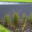 Biopools Degroote Koen