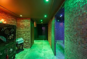 Alpha Wellness Sensations