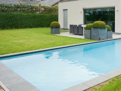 JDS Pools Black Panther